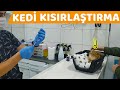 KEDİMİZİ KISIRLAŞTIRDIK (Dişi Kedimiz Mila'nın Kısırlaştırma Operasyonu )