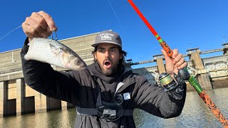 Giant Spillway Was Hiding a HUGE SURPRISE For Us! - BIGGEST FISH He’s EVER SEEN…..