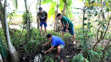 Đặt Bẫy Săn Bắt Ếch Đồng Miền Tây Dính Ếch Thấy Ham/Catch Frog/NGÃ NĂM TV