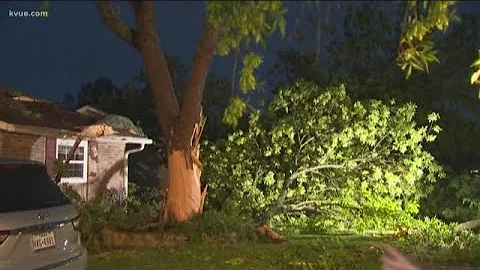Lightning strike destroys tree right in front of Austin home | KVUE