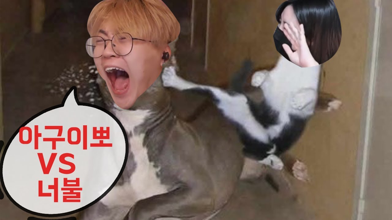 아구이뽀 VS 너불 50만원빵