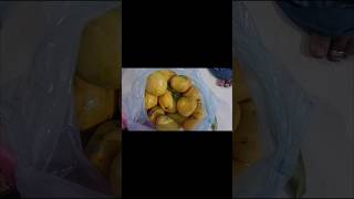 mangos