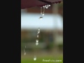 أنشودة المطر Rain Song 