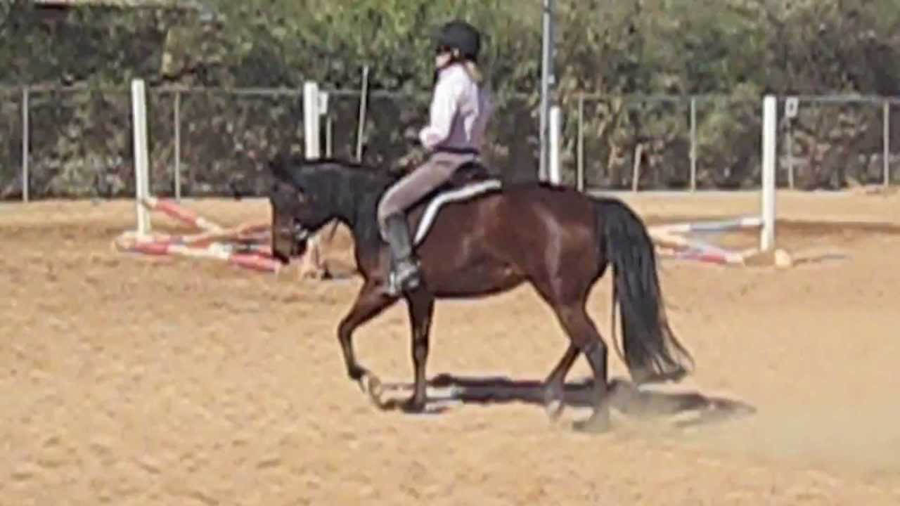 Pony For Sale YouTube