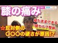 【膝の痛み】寝たまま簡単にできる!体重かけた時の膝の痛み解消法【整体院Refuge 中原弘貴】