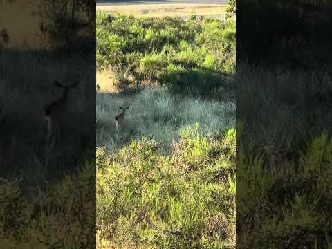 Momma and kids     