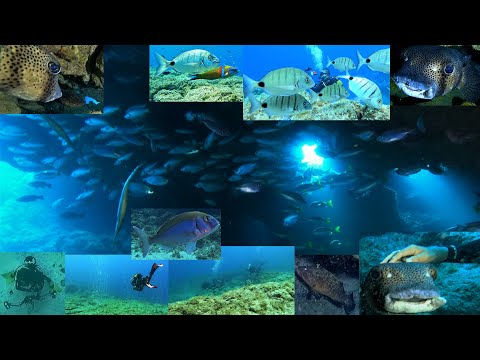 Buceo en Cueva del Zorro 09-07-2022