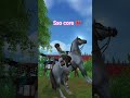 sso coree #sso #starstable