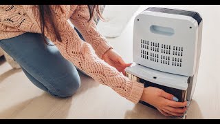 Top 3 Best Dehumidifiers Reviews Top 3 Best Dehumidifiers Reviews