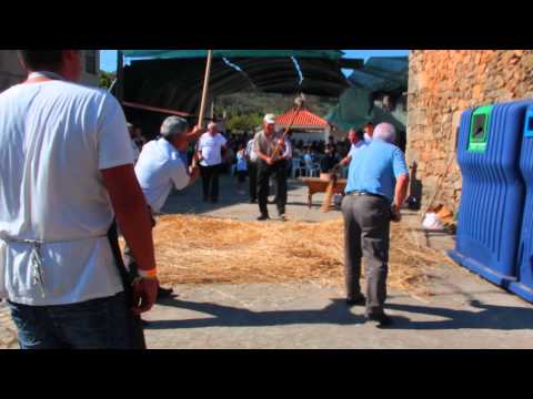 Festa do P&atilde;o 2015 em Carnic&atilde;es. Malhar o P&atilde;o. 2