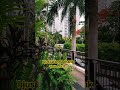 JUST THANK YOU LORD #inspirationalquotes #praisethelord #nature #shorts #relaxingmusic