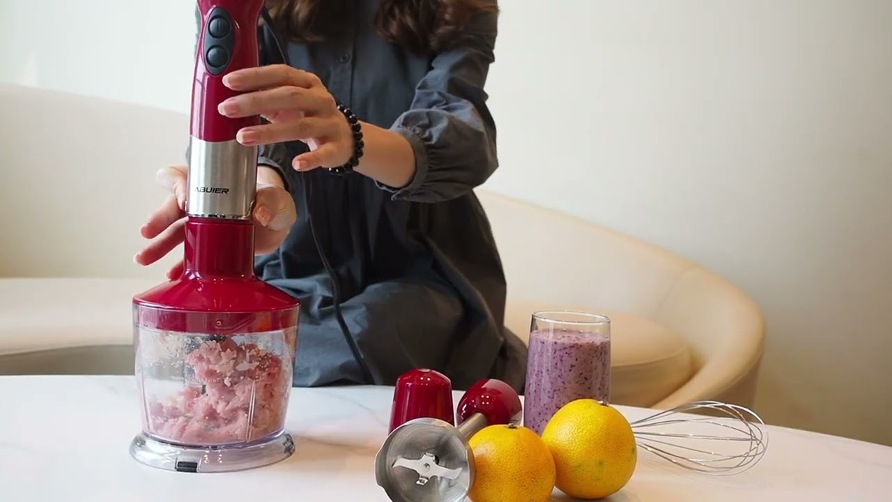 Abuler hand blender HB 2028L intro video minced meat