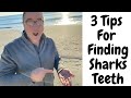 3 Tips For Finding Sharks Teeth