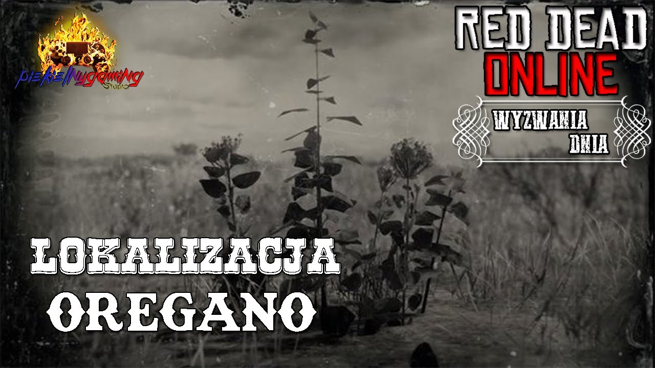 Red Dead Redemption 2 żeń Szeń