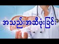 အသည်းအဆီဖုံးခြင်း Fatty liver