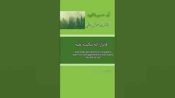 آية 40 من سورة التوبة للقارئ علي جابر | Verse 40 of Surah  At-Taubah by the reader Ali Jaber