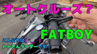 Harleyオートクルーズ？？アクセレーターロックシステム！