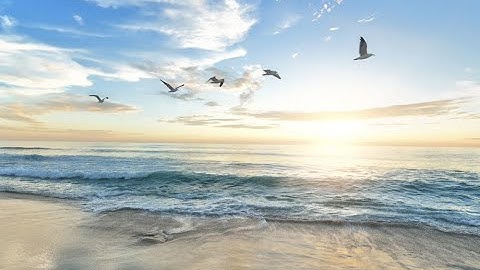 Round 1 - The Rounds of The Soul - Divine Will - Luisa Piccarreta