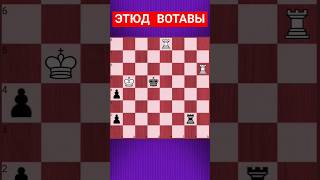 💥ХОД МЕНЯЮЩИЙ ВСЕ #шахматы #шахматныезадачи #chess #chesspuzzle