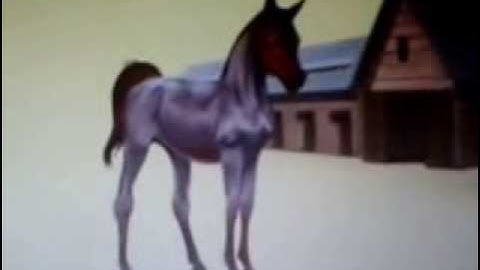 Howrse tutorial- episode 1