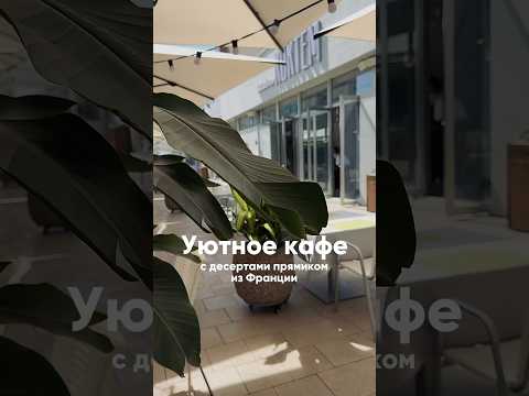 Астана. Новое кафе на набережке. Десерты от ученицы Оливье Бажара
