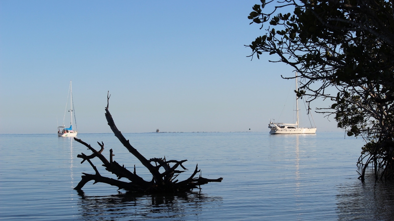 064-SAILING MANLY TO ROSSLYN BAY