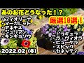 ◆【厳選10選】植え付けその後の様子