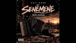 Dali Dade – Senemene [Rene Various Accordion Remix]