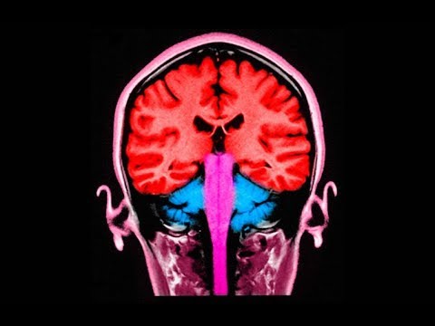2016 lys Wééd May Fight Brain Aging