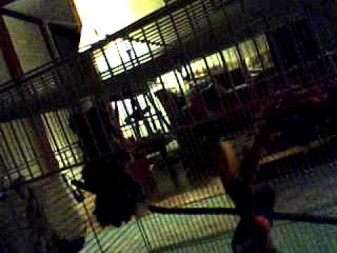 jet #2 http://fortnite.com/2fa