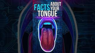 Facts About Your Tongue #shorts