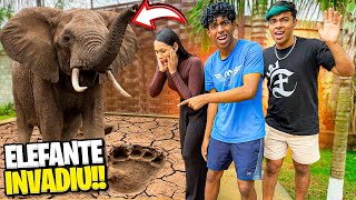 A giant elephant invaded the ranch and destroyed everything!! 😨 screenshot 5