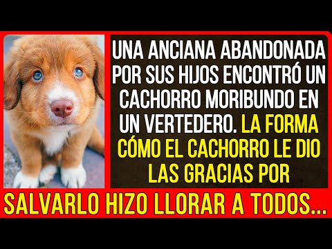 Video: No vas a creer lo feliz que es este cachorro después de ser arrojado a la basura