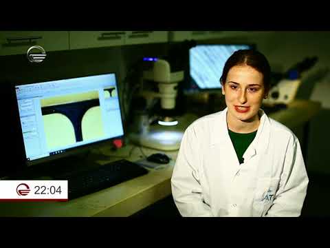 BOEING ის პარტნიორი საქართველოდან