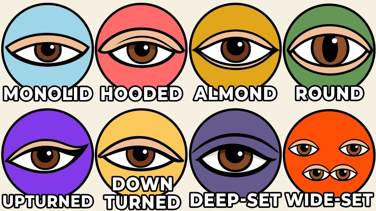Every Hidden Evolutionary Advantage of Your Eye Shape Explained - YouTube