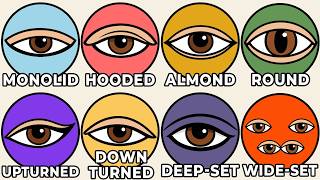 Every Hidden Evolutionary Advantage of Your Eye Shape Explained