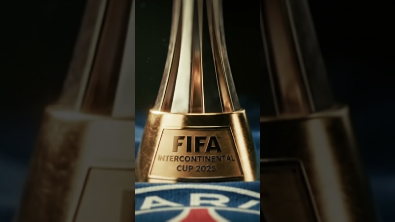 Extra baggage on the return flight 🏆