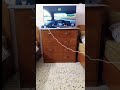 تعبت عليه عشانكم