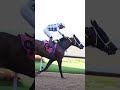 On her way to the Longines #BreedersCup Distaff 💨