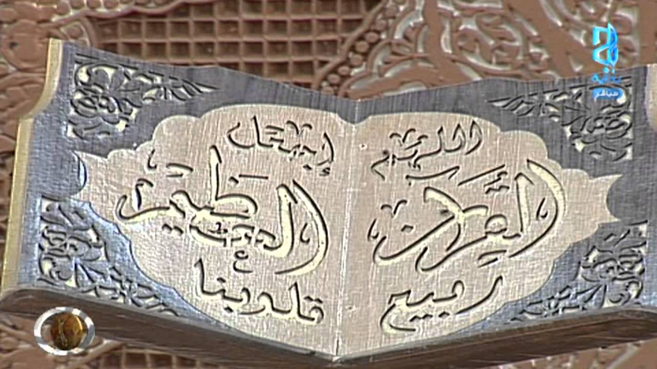 العصر - اليوم41 - الخميس | #زد_رصيدك41