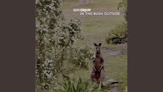 In the Bush Outside