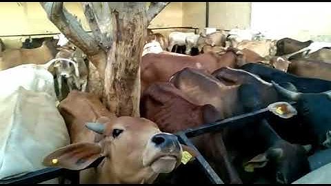 How To Joint Picture Editing Remove Background in Photoshop cc #22- PBN Tech