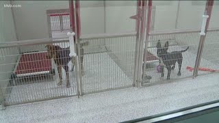 Idaho Humane Society opens new building in Boise