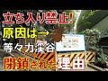 「閉鎖」された秘境 等々力渓谷はなぜ立ち入り禁止になったのか? 閉ざされた都会のオアシスを見に行った