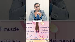 Melanocyte Transplant Explained by Dr. Umesh Bilewar | Seawoods, Navi Mumbai