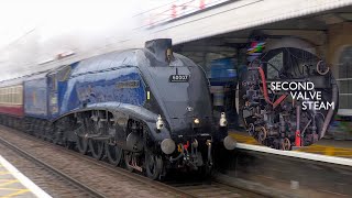 Rain Streak: 60007 'Sir Nigel Gresley' races along the ECML - 02/03/2024