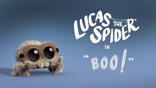 La araña Lucas | ¡Bú!  Episodio Completo (Español Latinoamericano)