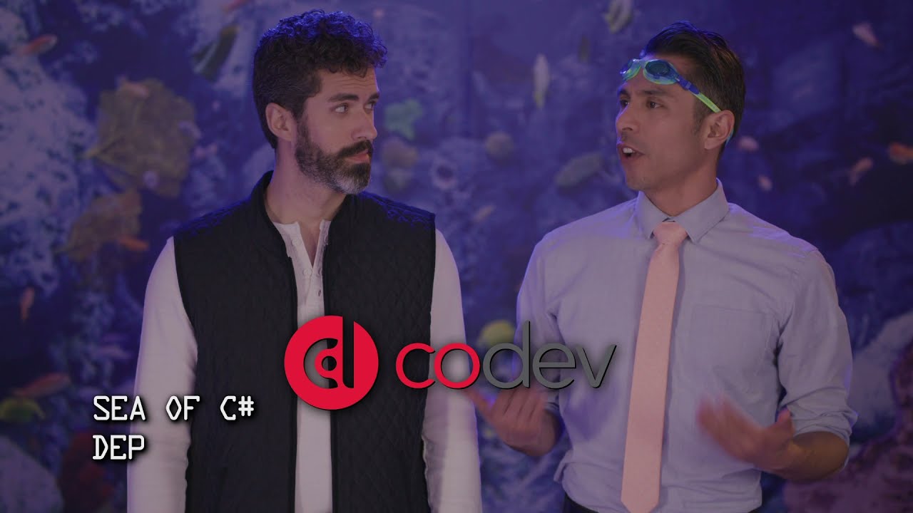 How CoDev's Process Works