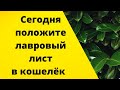 Сегодня положите лавровый лист в кошелёк.