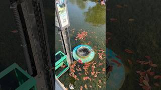 Ocean trash can #didyouknow #foryou #us #youtube #world